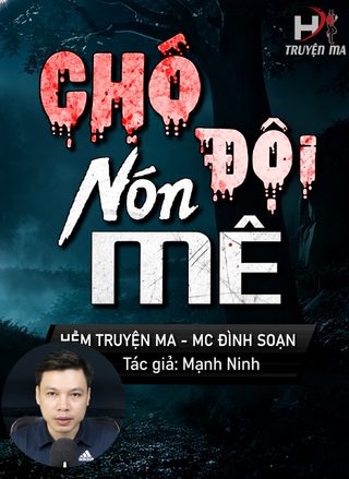 Chó Đội Nón Mê