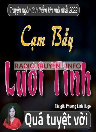 Cạm Bẫy Lưới Tình