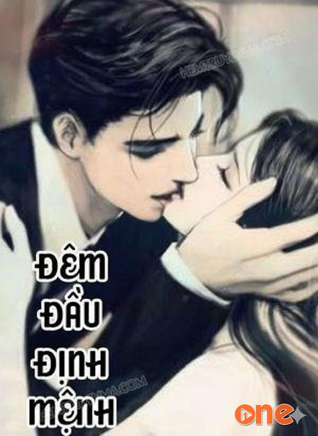 Đêm Đầu Định Mệnh