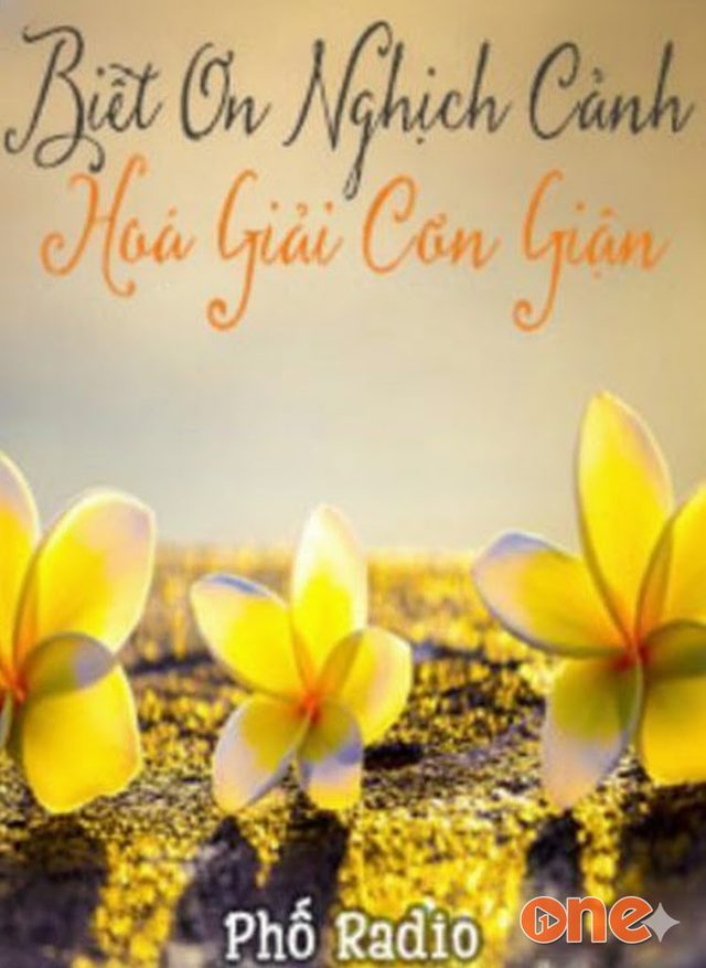 Biết Ơn Nghịch Cảnh, Hoá Giải Cơn Giận