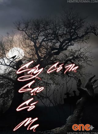 Cây Gạo Có Ma