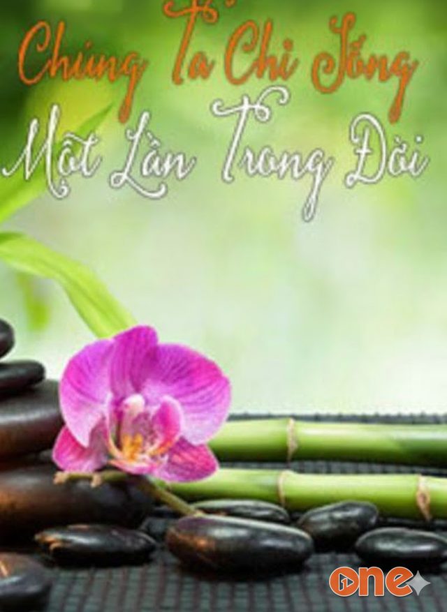 Chúng Ta Chỉ Sống Một Lần Trong Đời