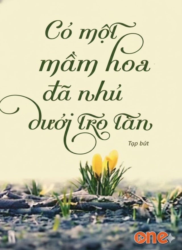 Có Một Mầm Hoa Đã Nhú Dưới Tro Tàn