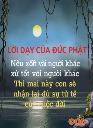 Lời Dạy Đức Phật Giải Thoát Phiền Muộn