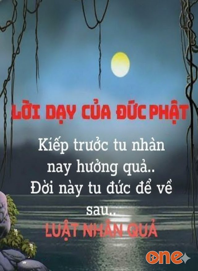 Lời Dạy Đức Phật Về Nhân Quả