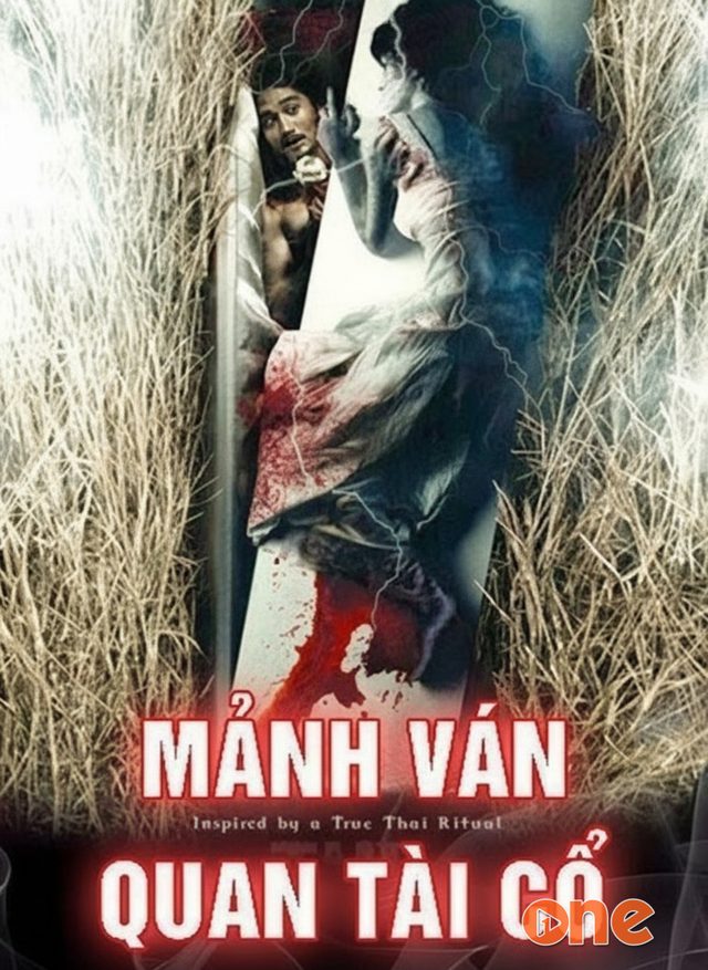 Mảnh Ván Quan Tài Cổ