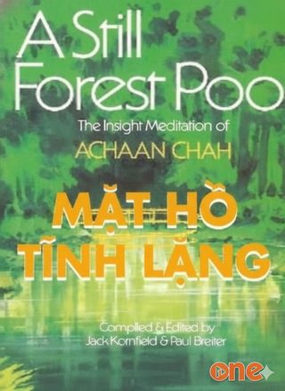 Mặt Hồ Tĩnh Lặng