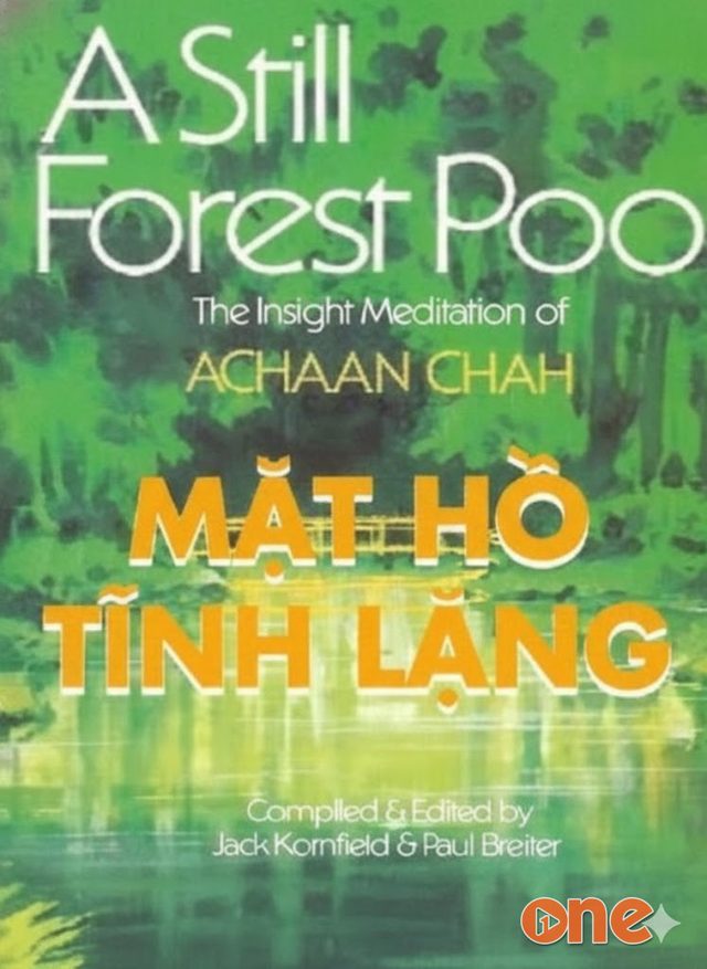 Mặt Hồ Tĩnh Lặng