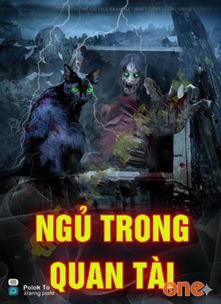 Ngủ Trong Quan Tài